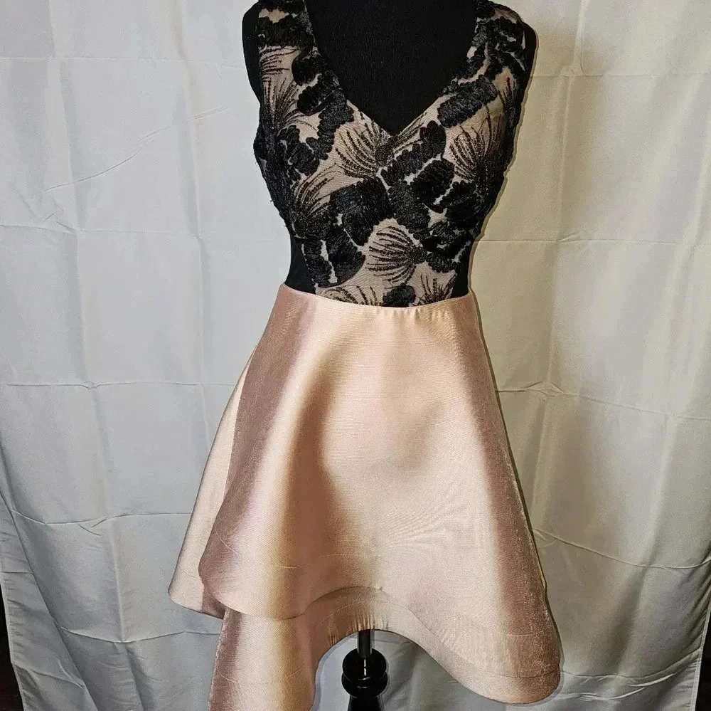 BCX Fit and Flare Lace design Gown